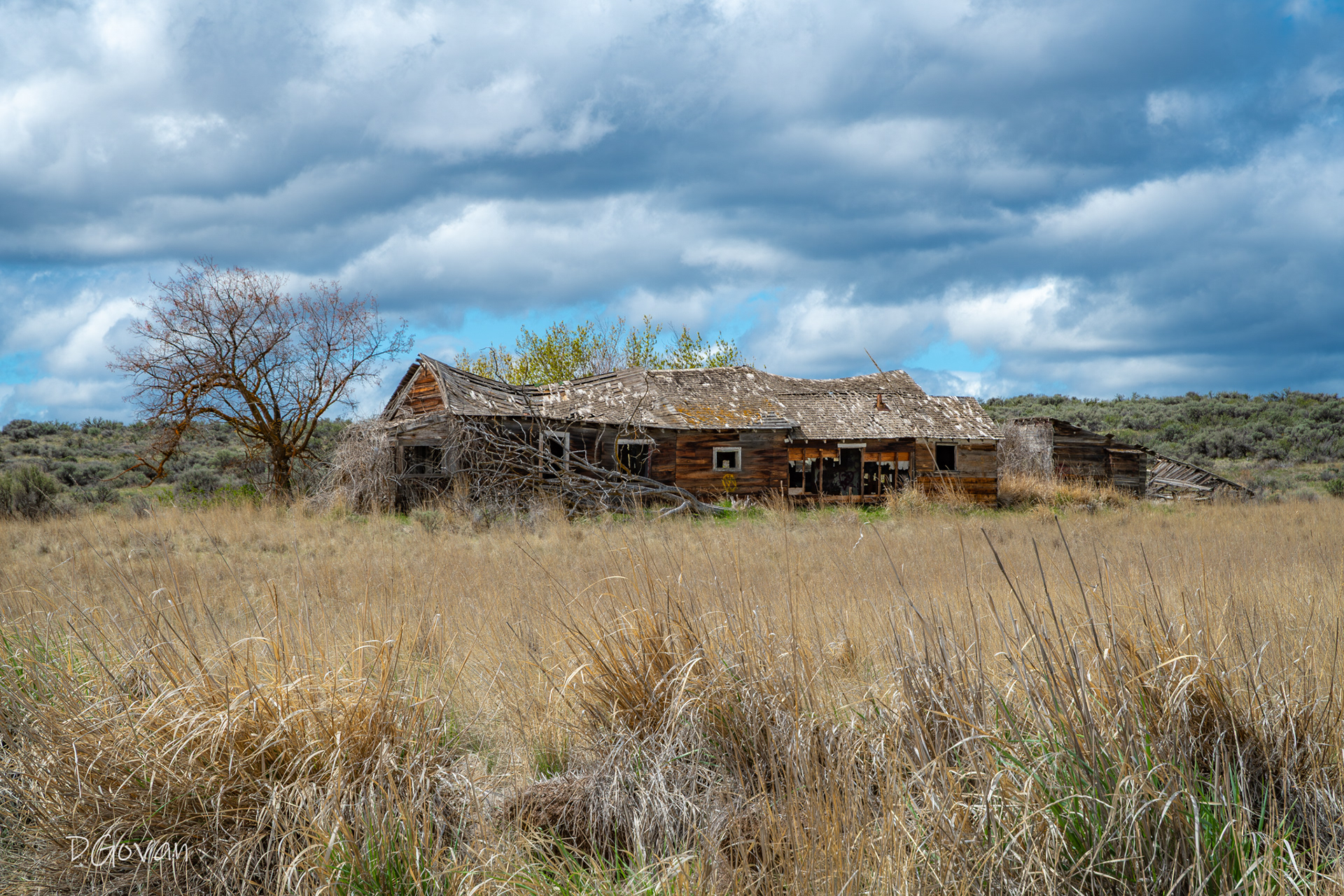 House in the Country
