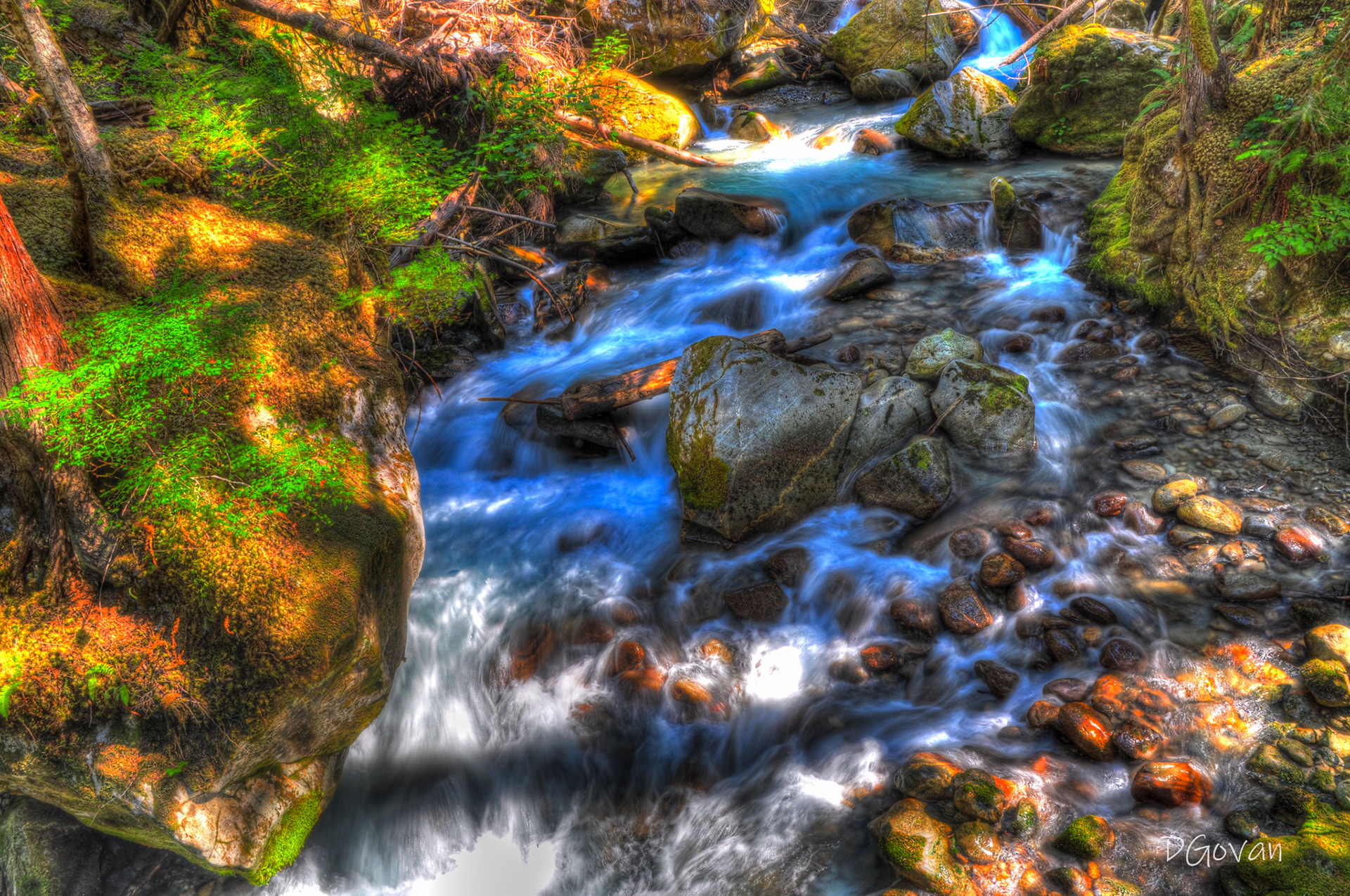 Mountain Stream 1 - North Cascades