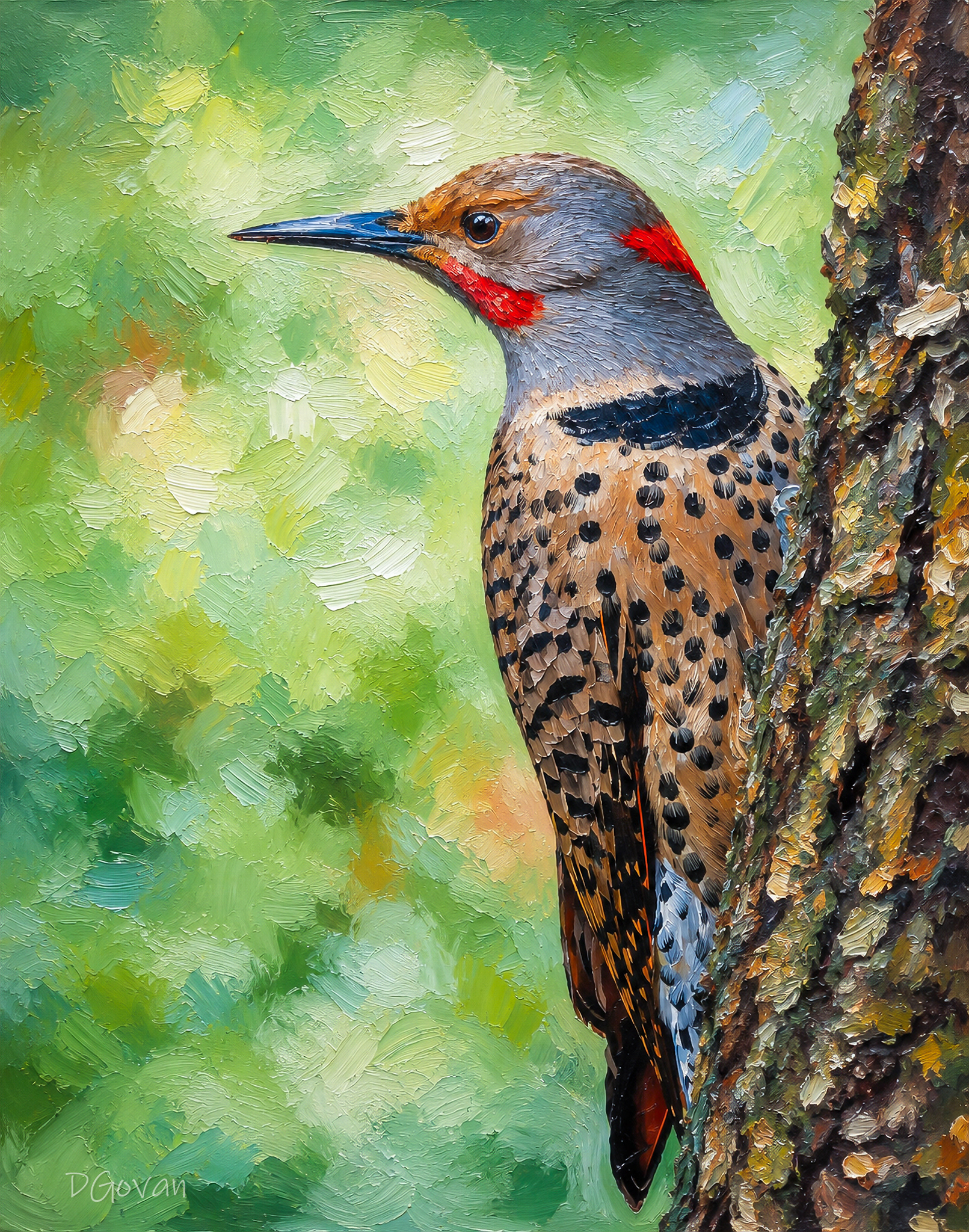 Intergrade Northern Flicker