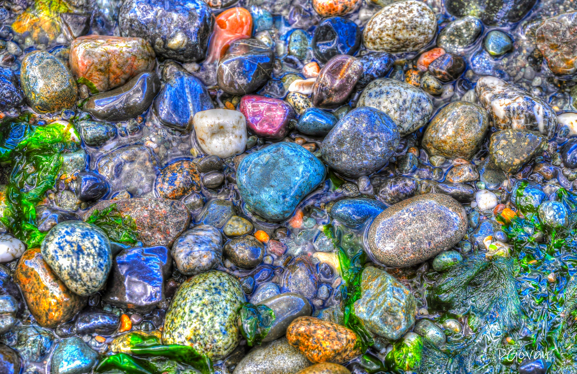 Pebbles - Meadowdale Beach