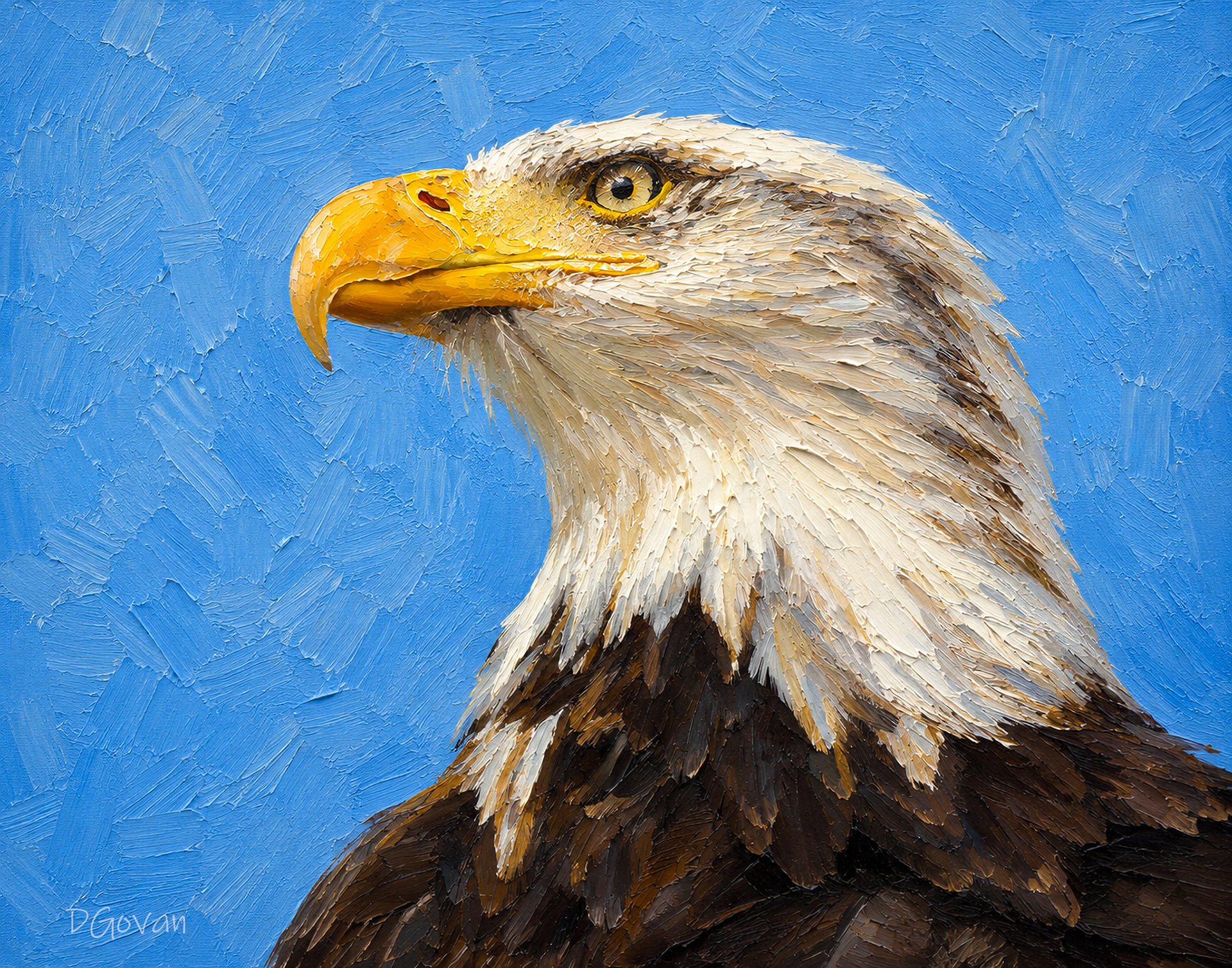 Bald Eagle