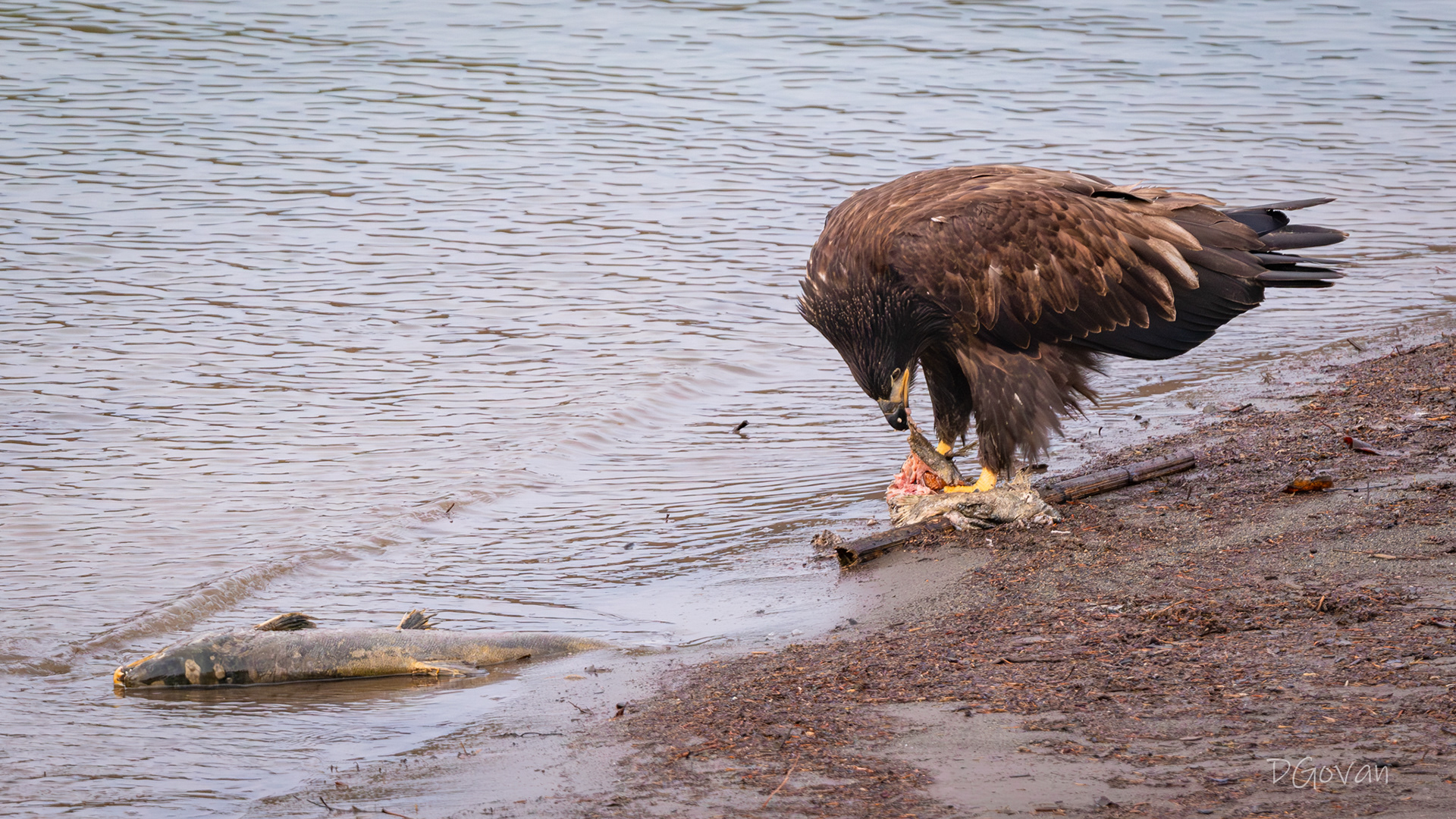 Lunchtime
