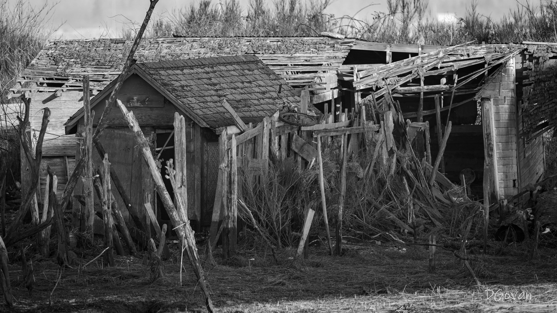 Fixer Upper