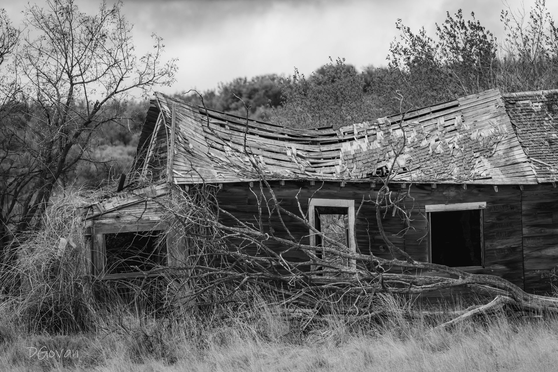 Fixer Upper