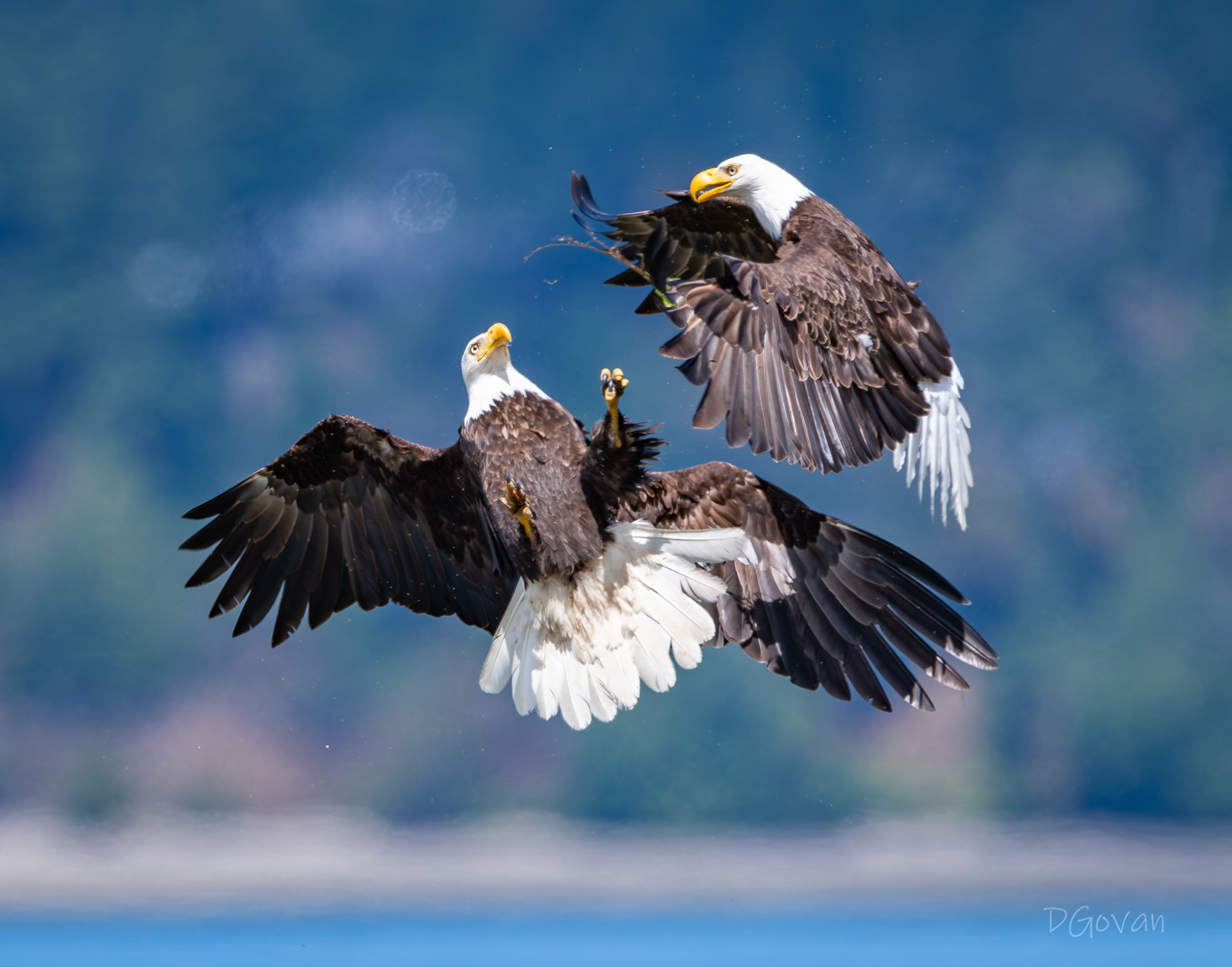 Mid-air Scuffle