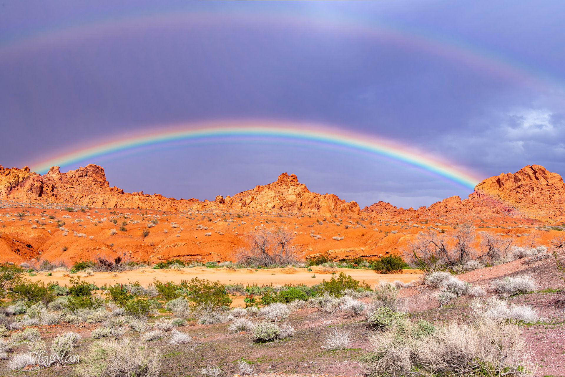 Desert Rainbow - Valley of Fire