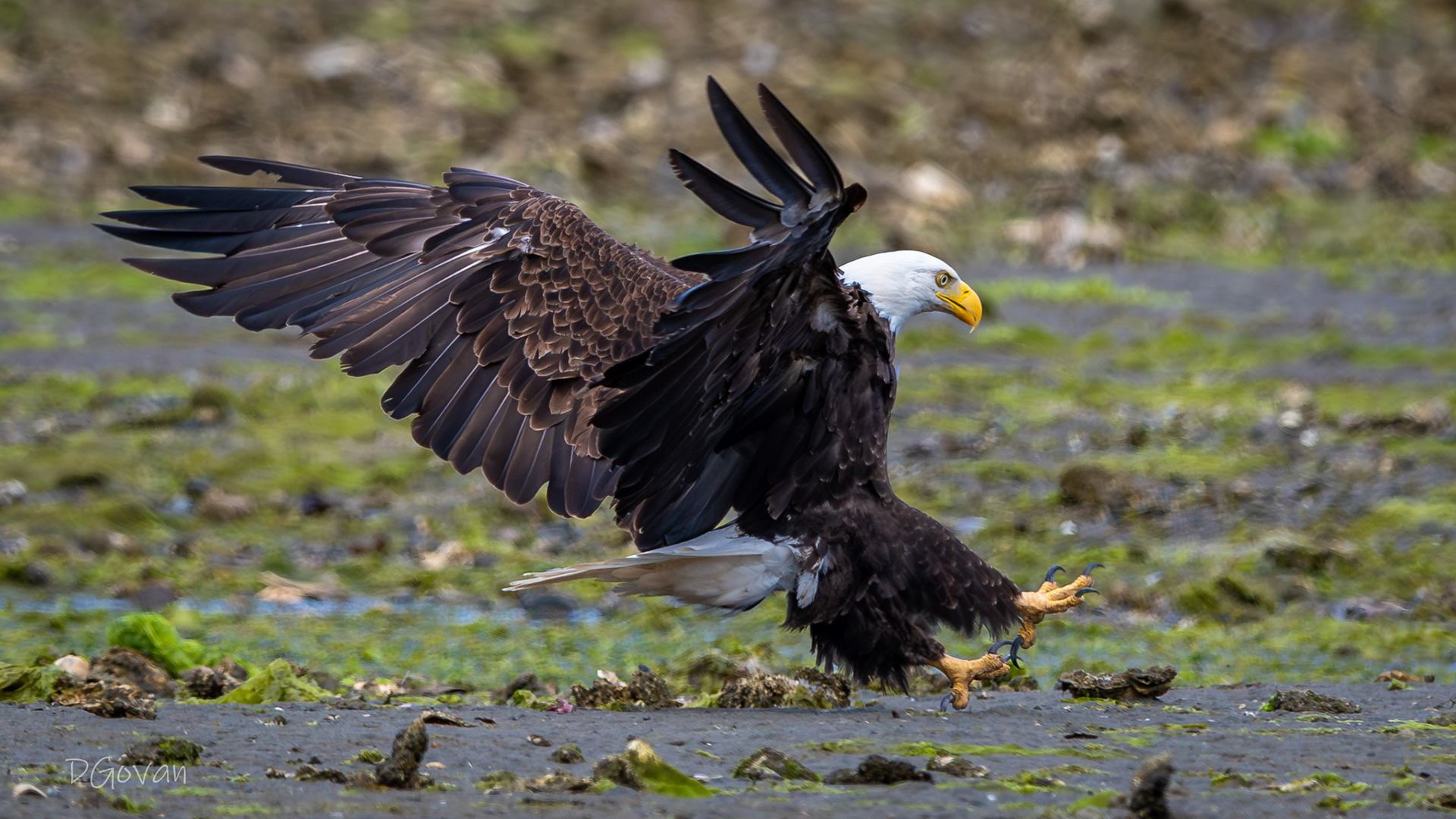 Sticks the Landing