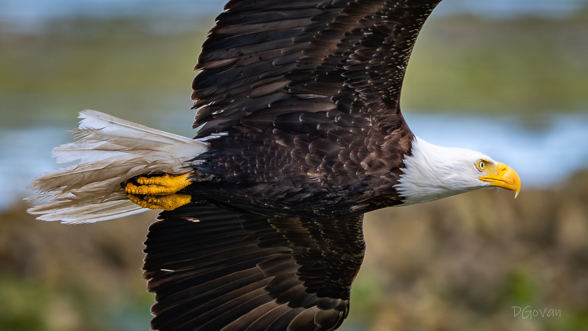 Fly-By
