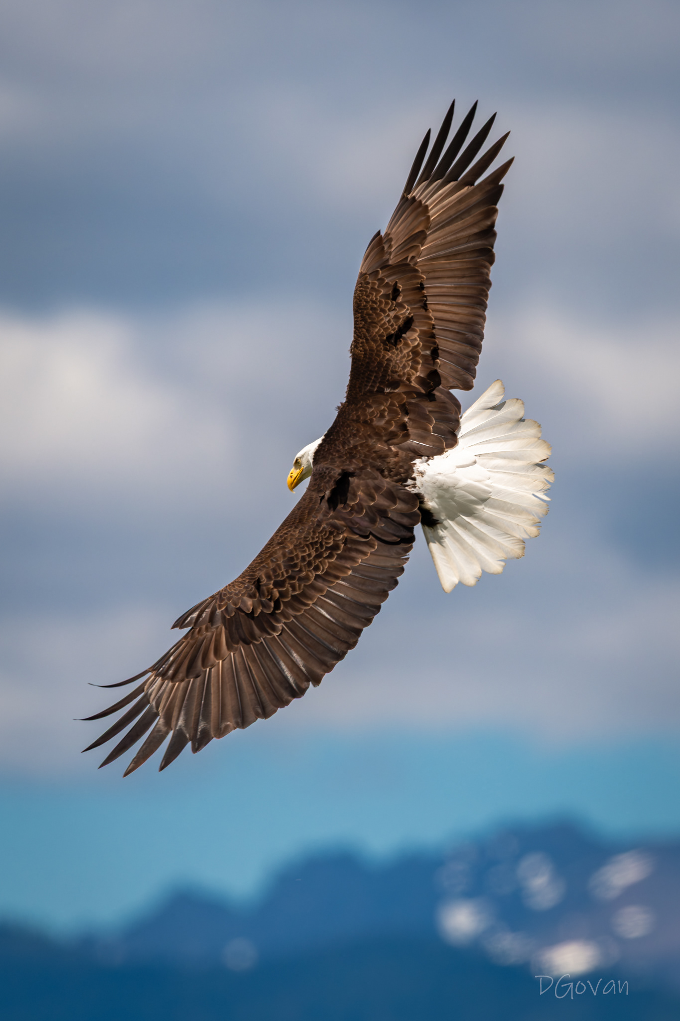 Soaring