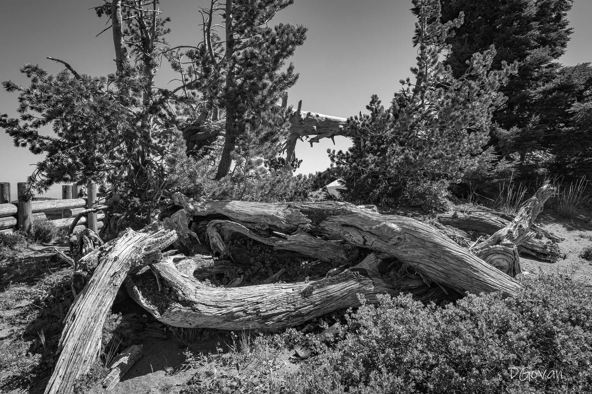 Twisted - Crater Lake