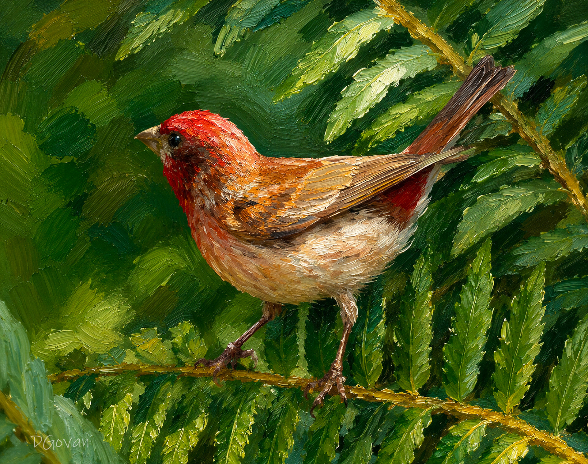 Purple Finch and Ferns