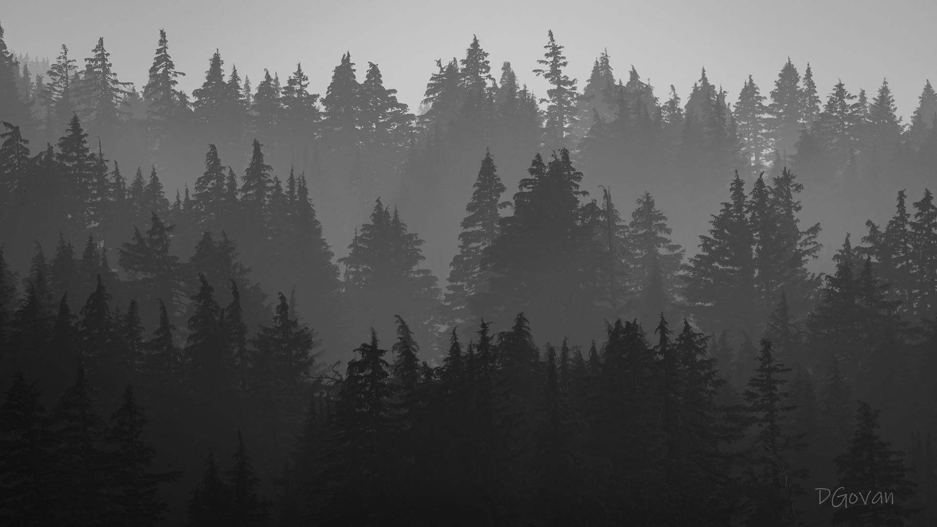 Smoky Trees