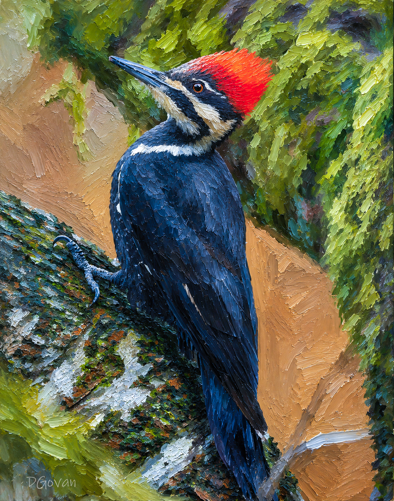 Female Pileated Woodpecker