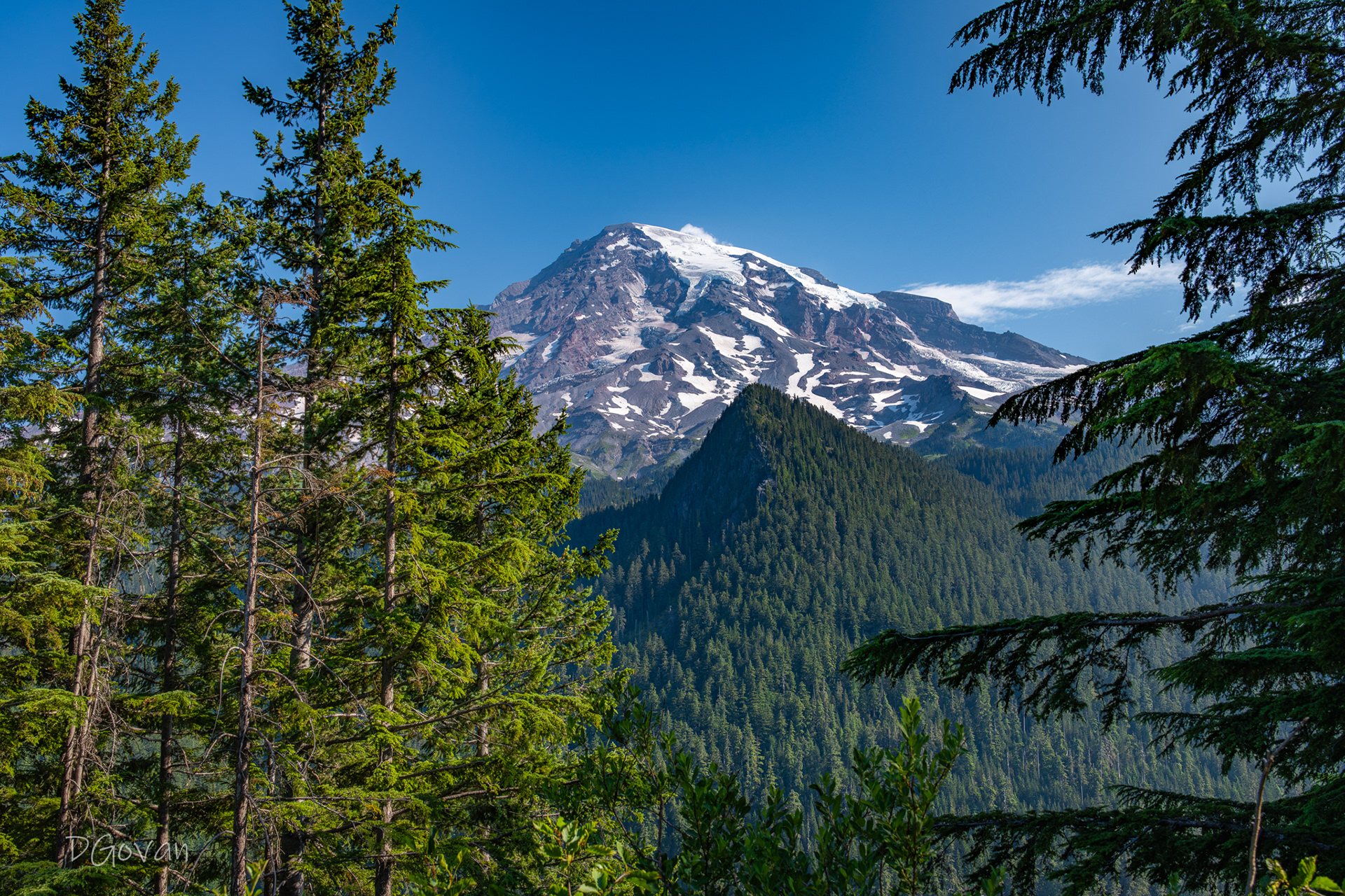 Mt. Rainier