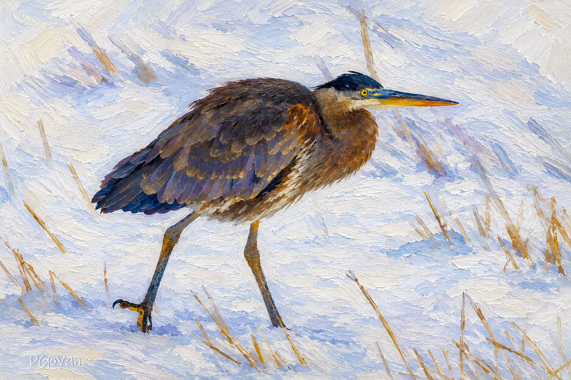 Winter Hunt - Great Blue Heron
