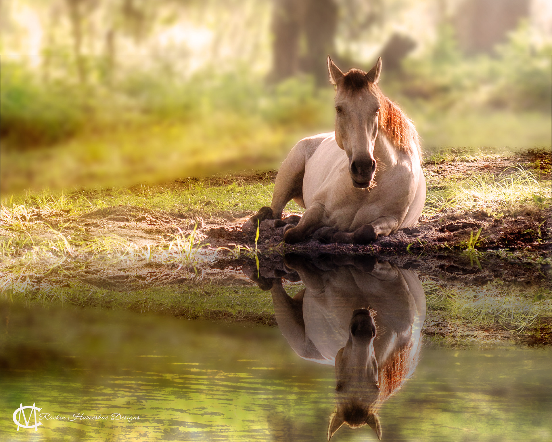 "Morning Reflection"