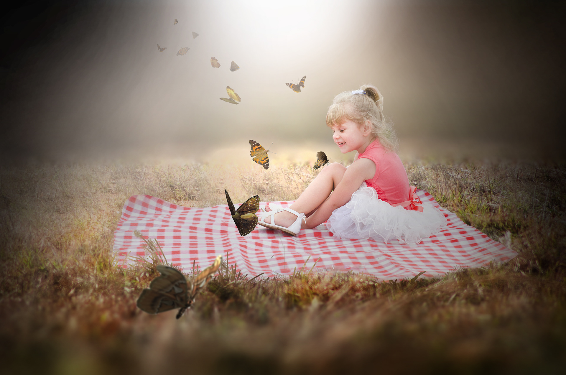 "Butterfly Picnic"