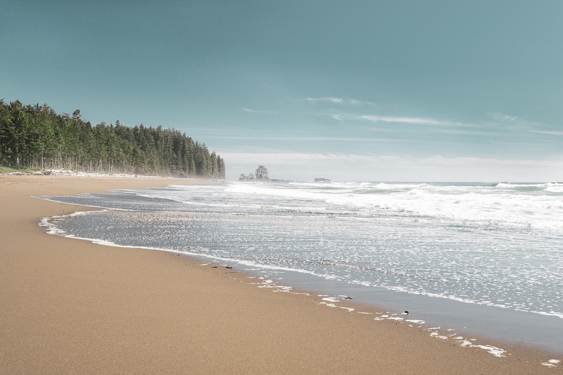 Beach scene near Carmanah Point, West Coast Trail, Pacific Rim NP