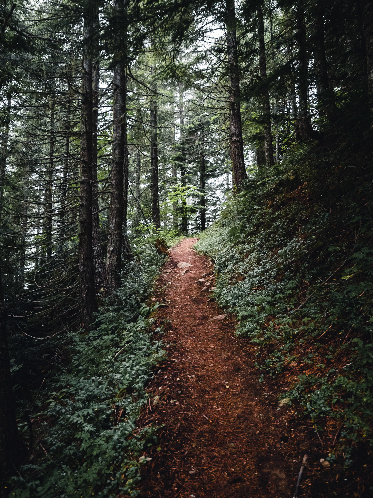 North Fork Sauk trail, Glacier Peak Wilderness, Washington, USA.