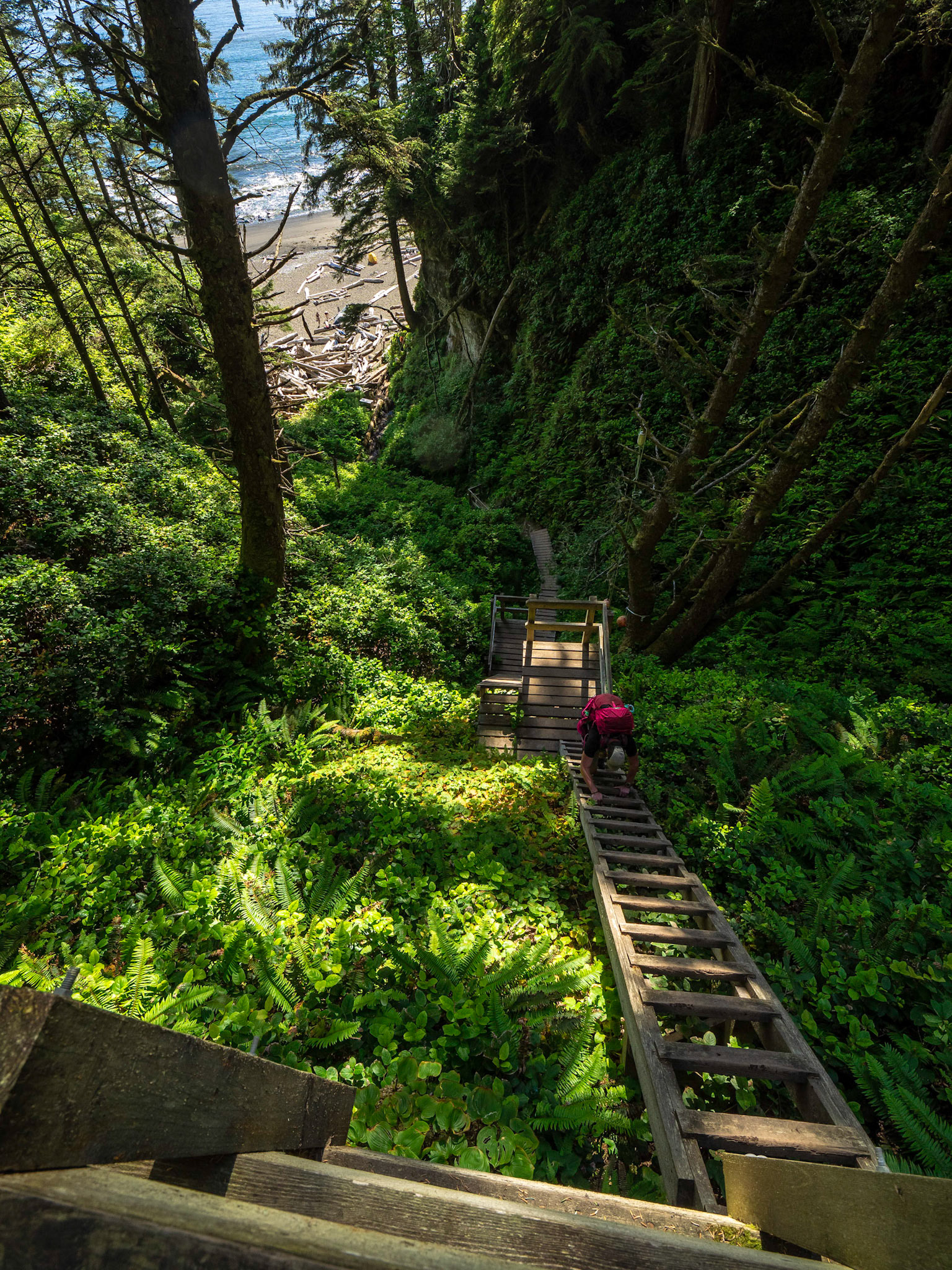 Ladders to Tsusait Falls, West Coast Trail, Pacific Rim Park.