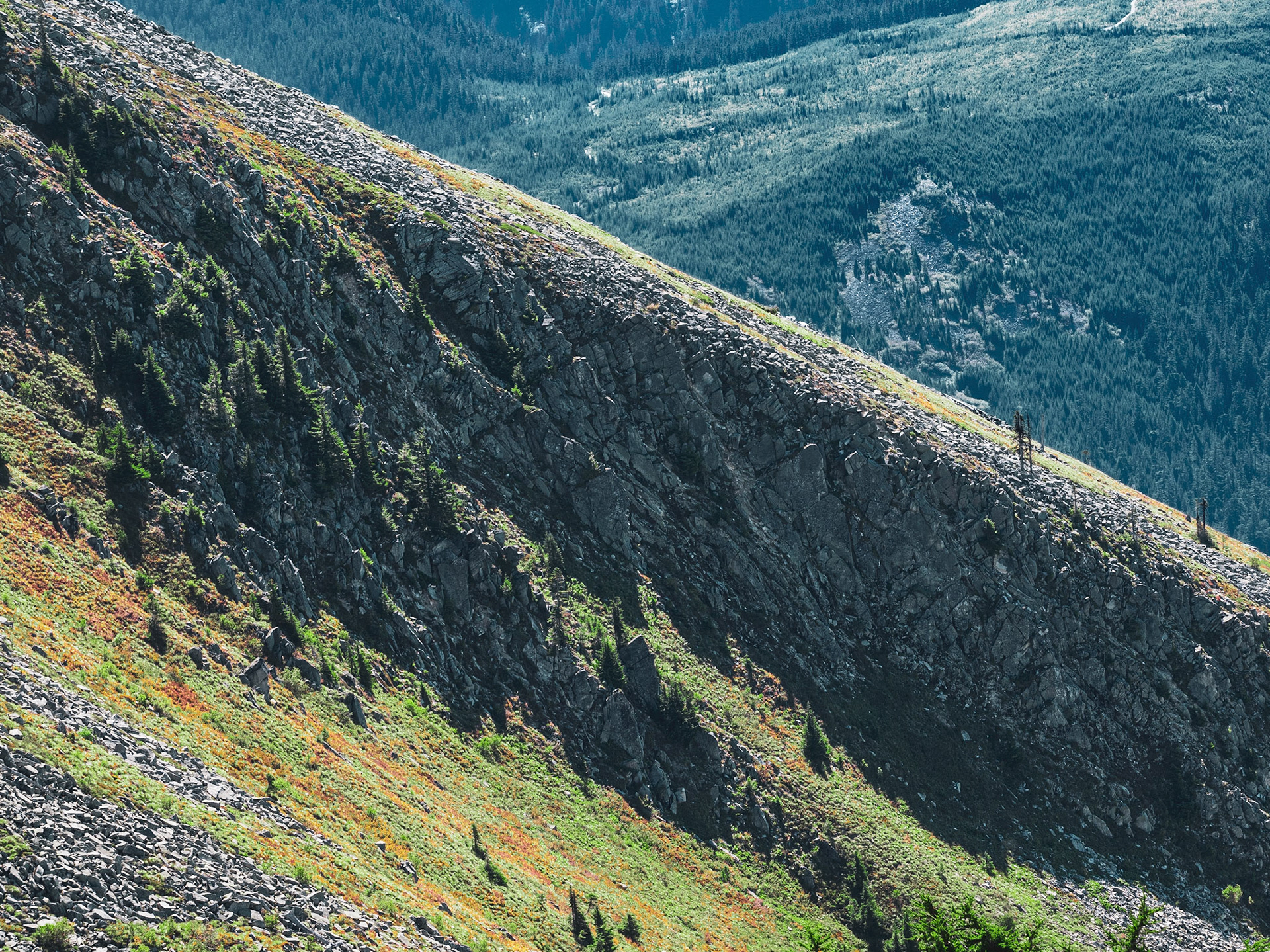 Granite rockface just off the summit of Granite Mountain.  Alpine Lakes Wilderness, WA.