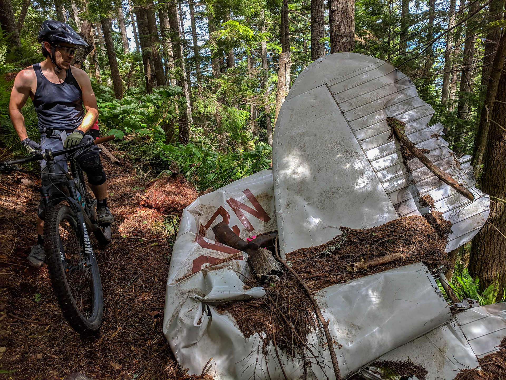 Bikes take you a lot of interesting places, in this case, a 40 year old plane crash.