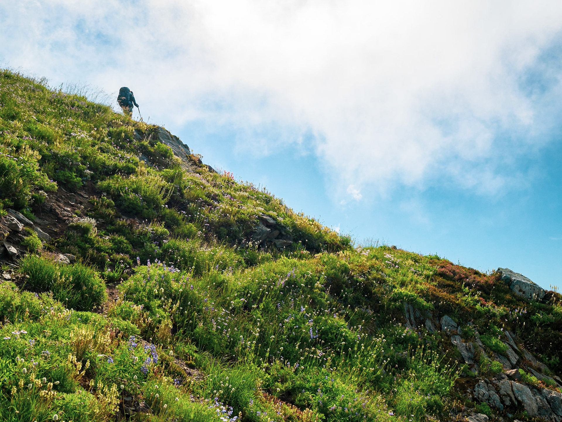 Traversing mountain meadows in the Glacier Peak Wilderness