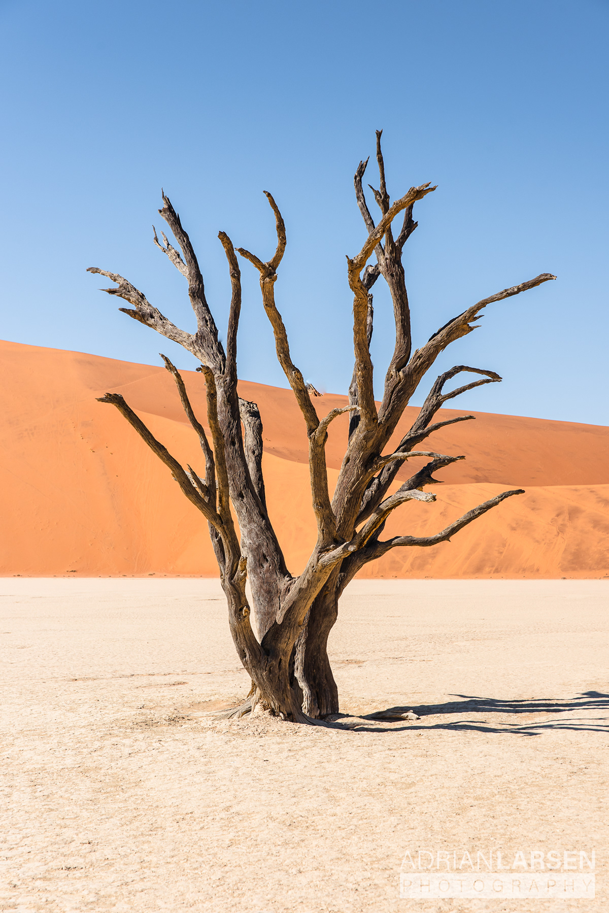Deadvlei, Namibia | 09.08.2024
