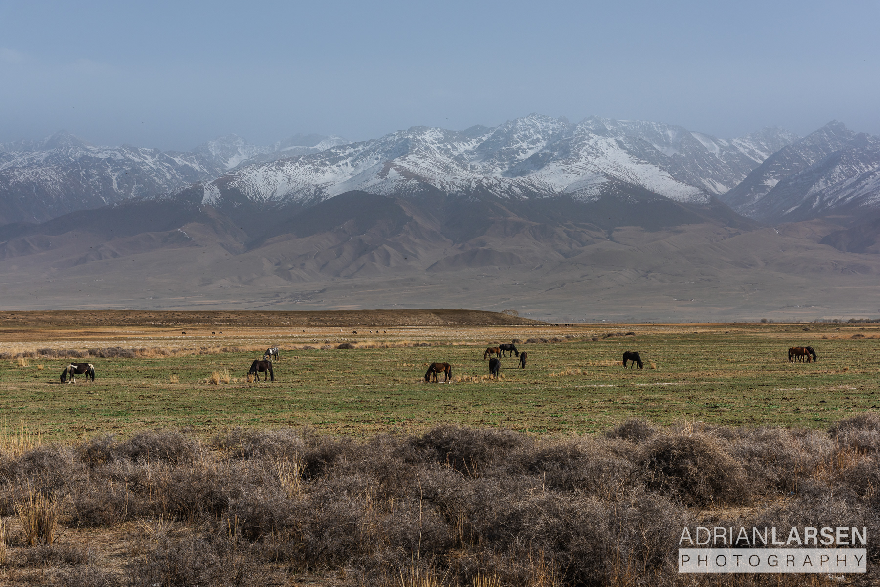 Naryn Region, Kyrgyzstan | 08.04.2026