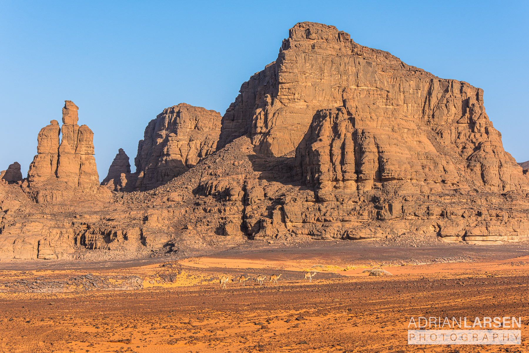 Sahara Desert, Algeria | 18.04.2024