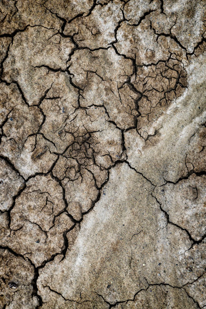 Cracked- Painted Hills, OR