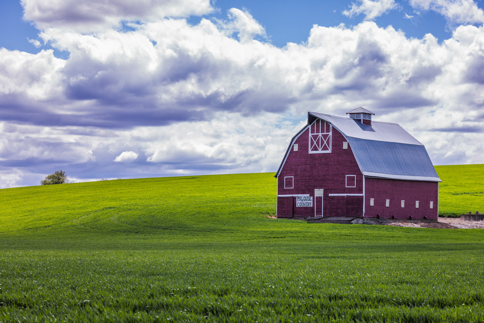 Palouse Country - The Palouse, WA