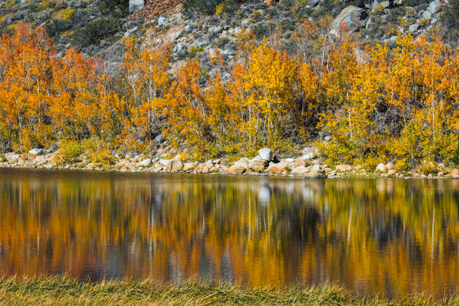 Twice the Gold- Mammoth Lakes, CA