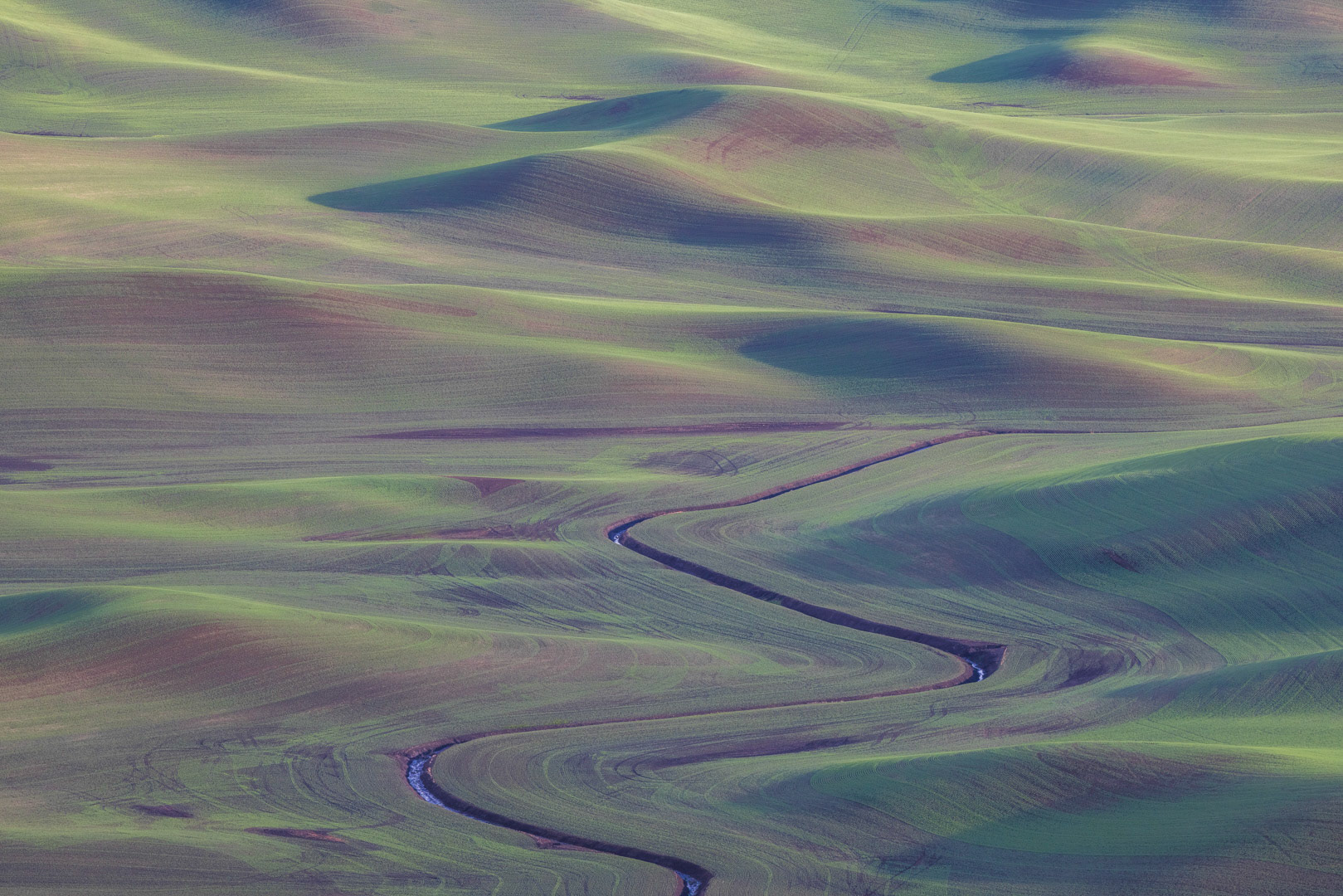 Curves - The Palouse, WA