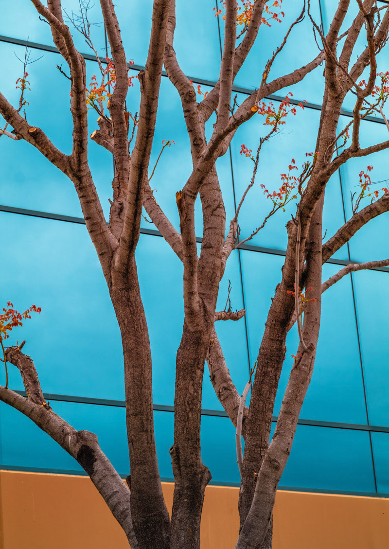 Complimentary Colors-Rancho Santa Margarita, CA