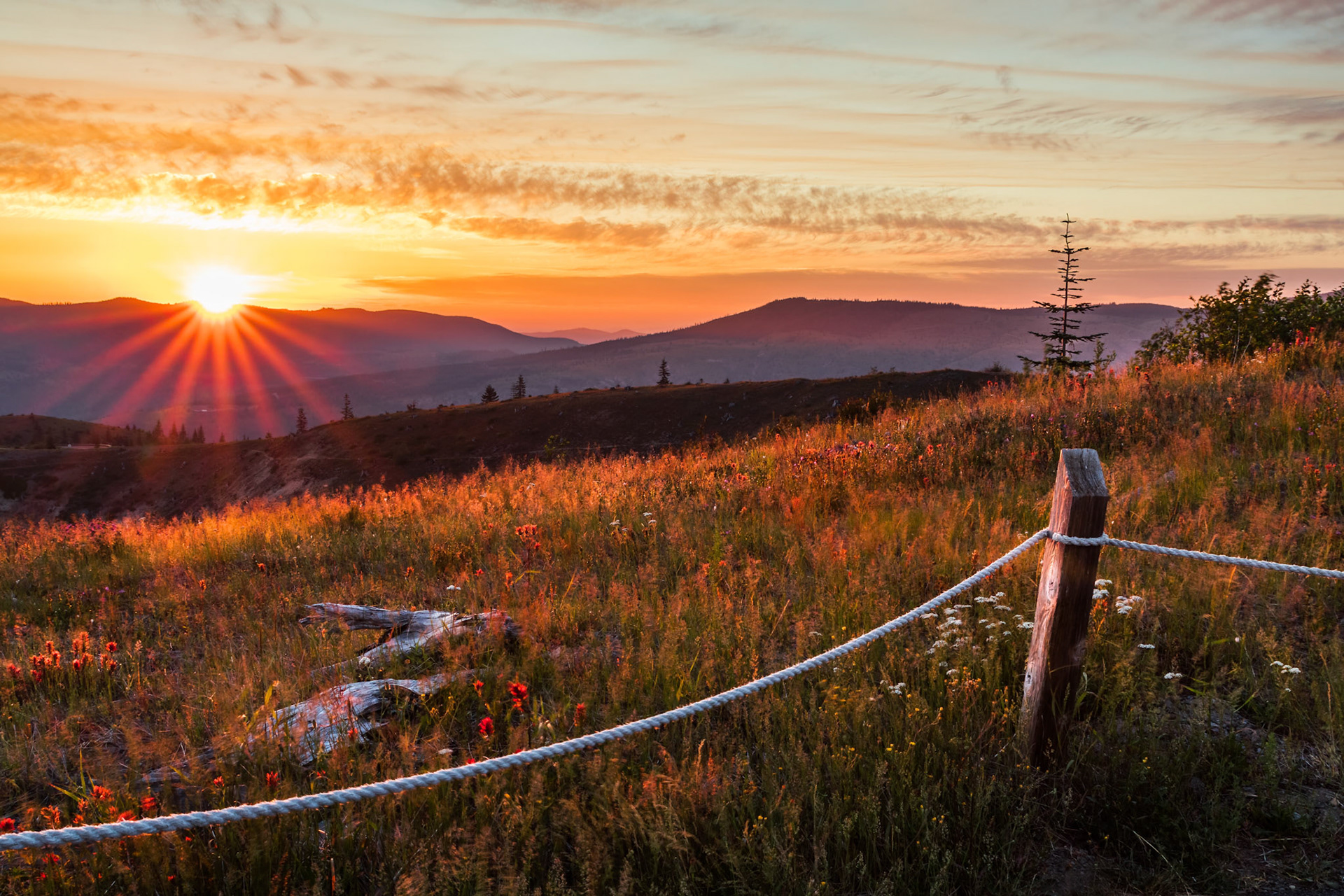 A Warm Light- Mt St Helens, WA