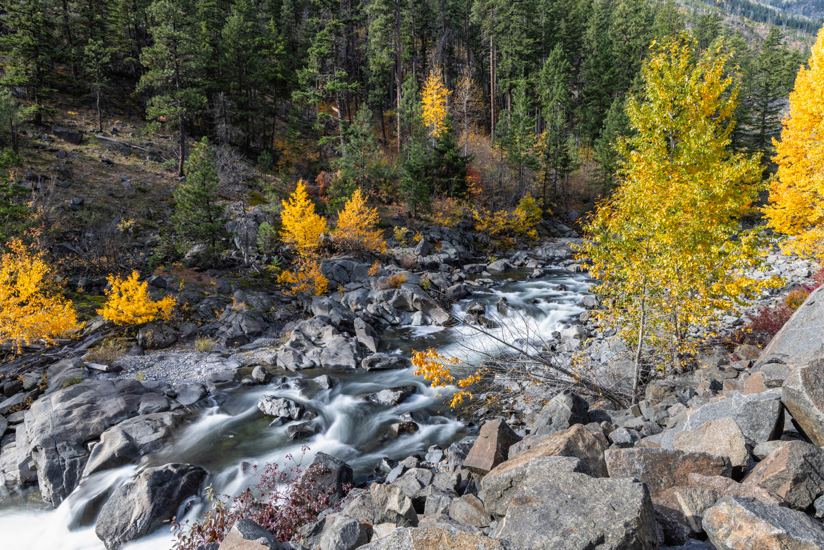 Golden Rapids - Wenatchee River, WA