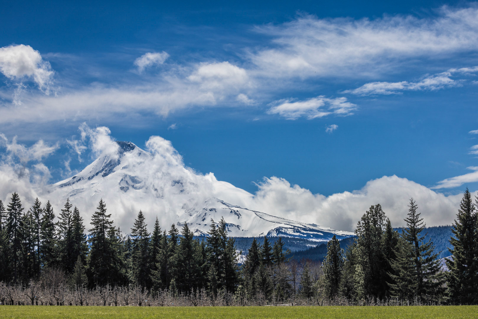 Un-hooded - Mt Hood, OR
