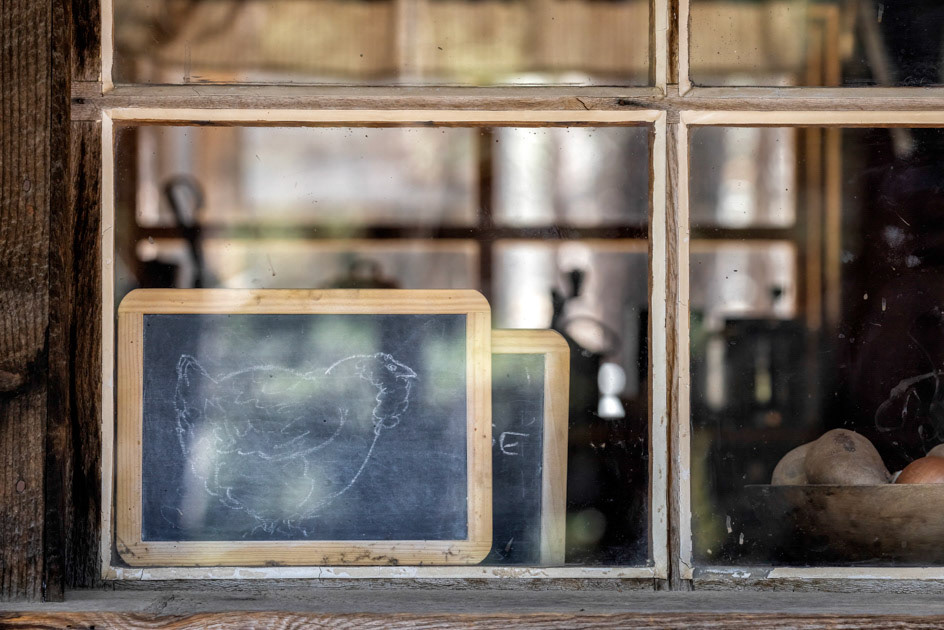 Hen- High Desert Museum, OR