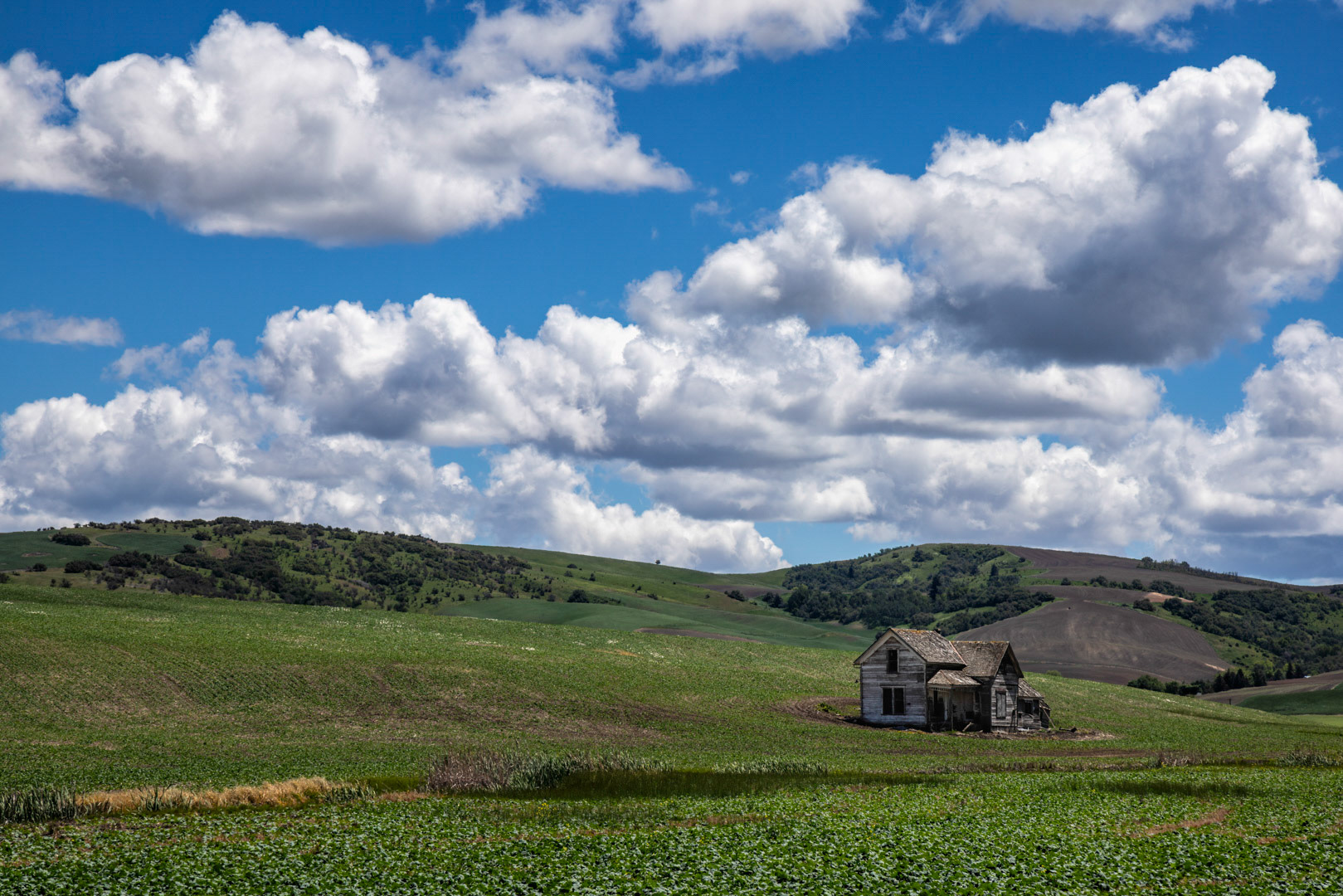Aging Barn - The Palouse, WA