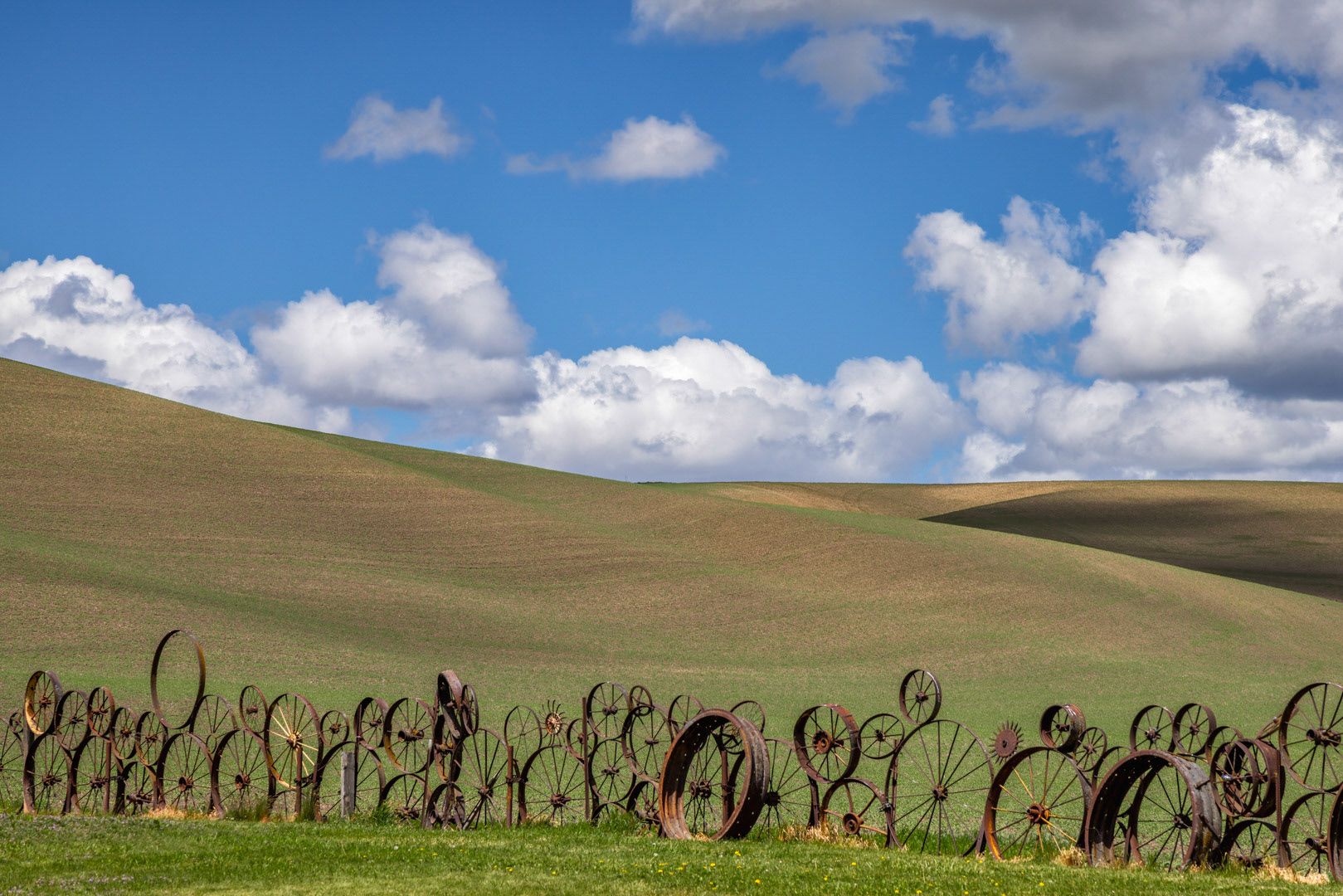 Rolling - Dahmen Barn, WA