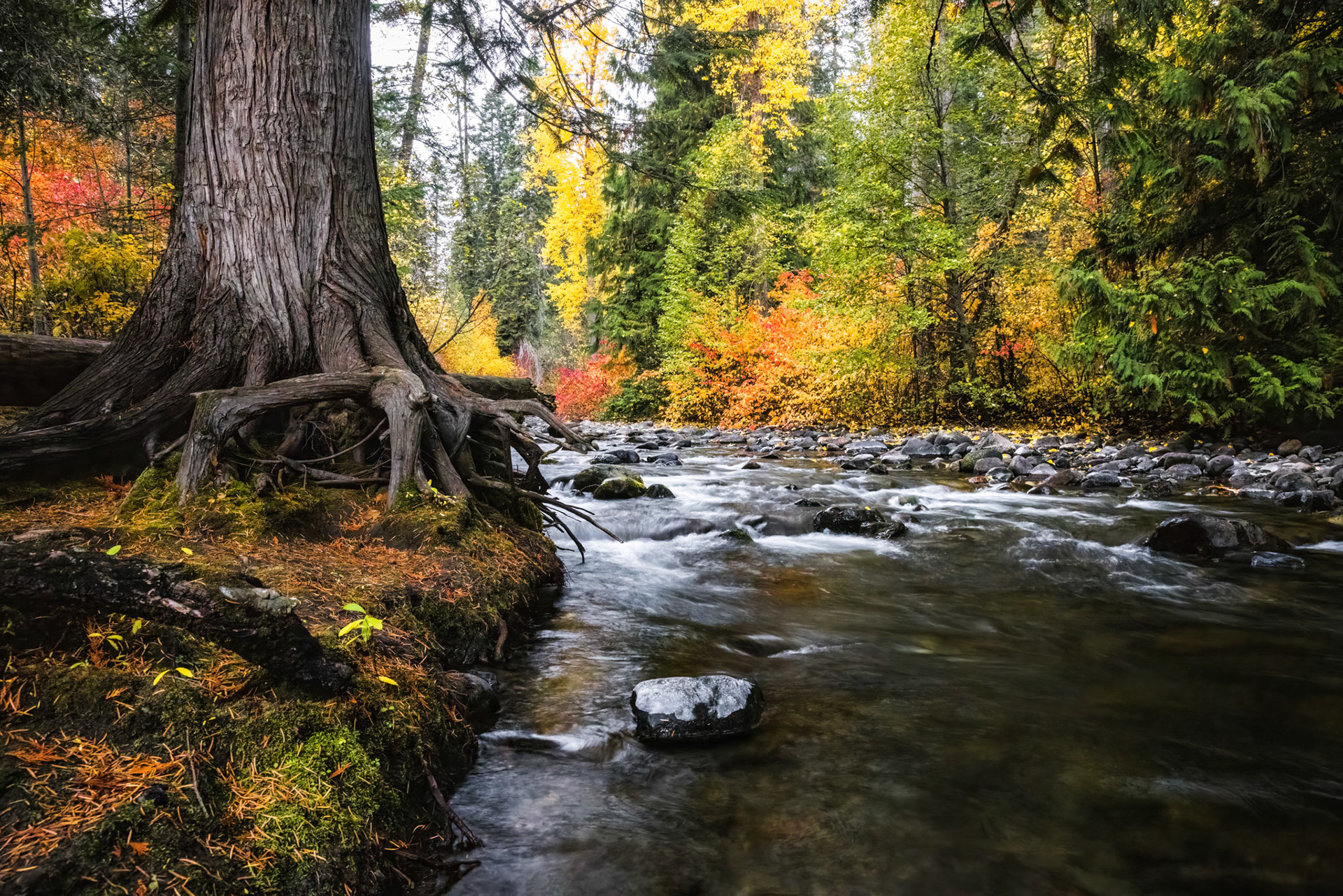 Autumn at Chiwaukum Creek- Leavenworth, WA