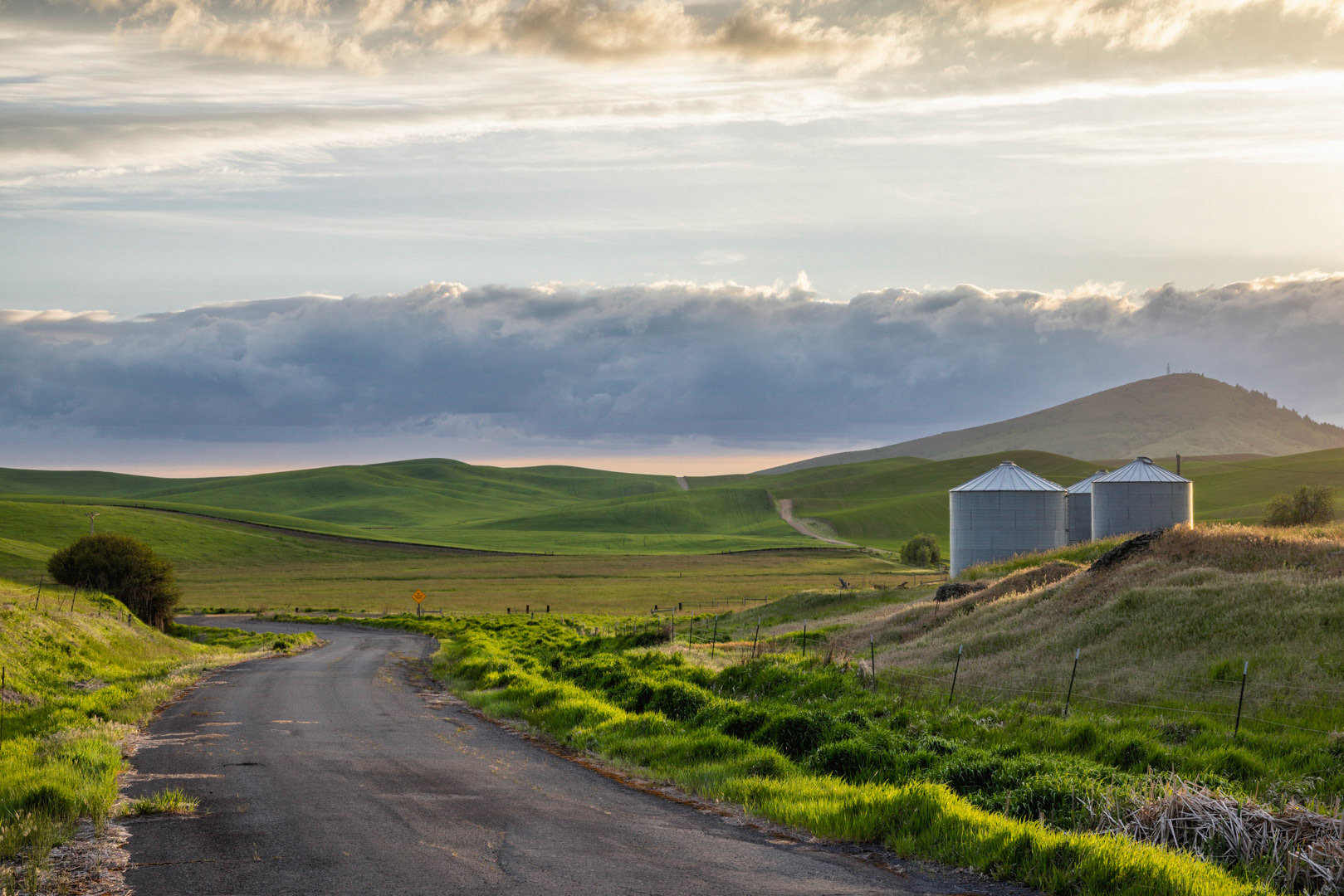 Farm Roads - The Palouse, WA
