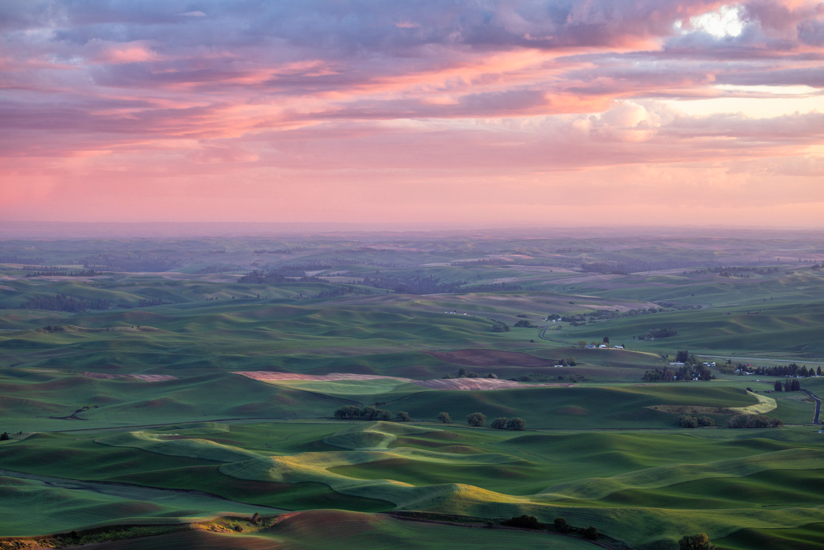 Rolling in the Pink - Steptoe Butte State Park, WA