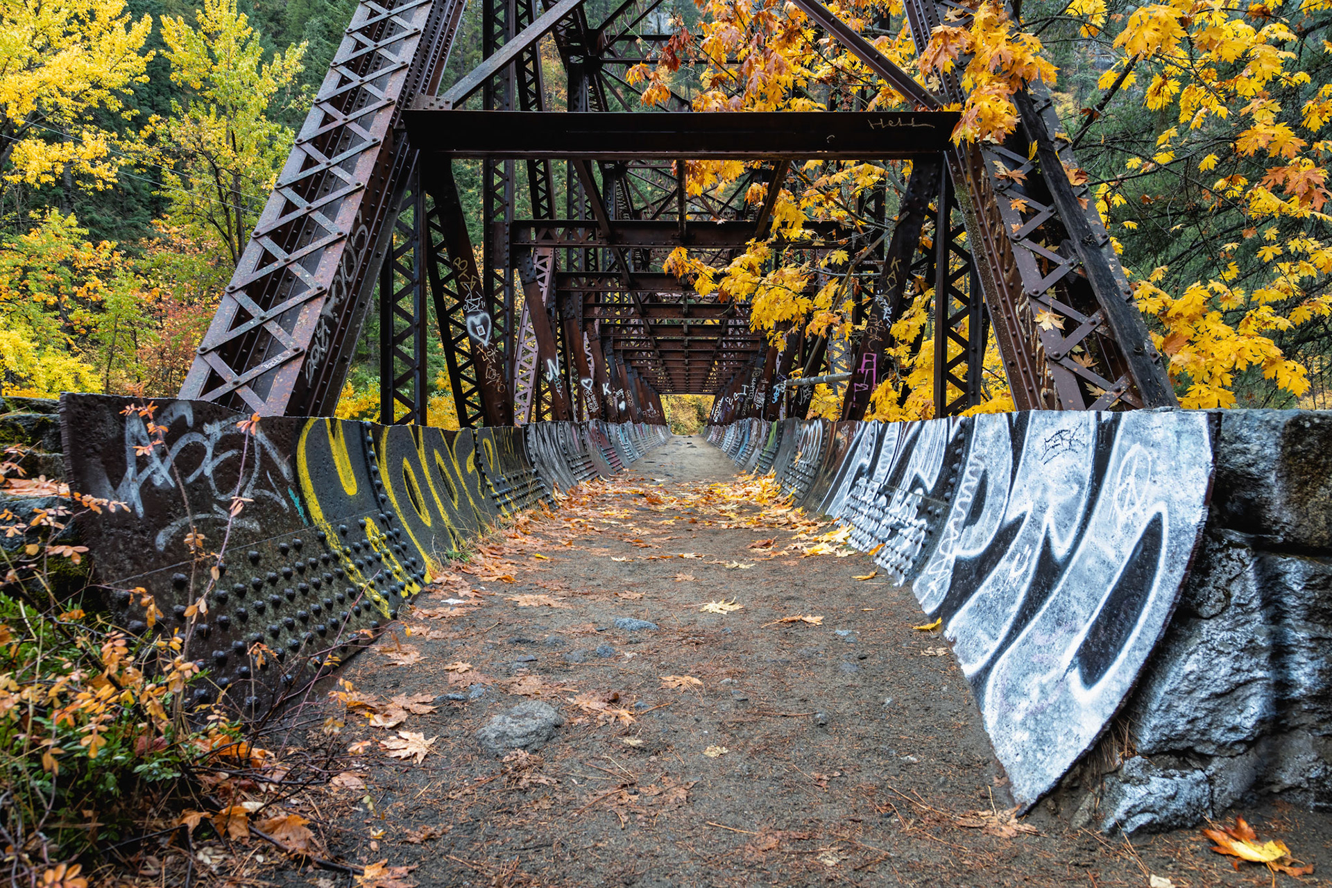 Drawing You In- Old Pipeline Bed Trail, WA