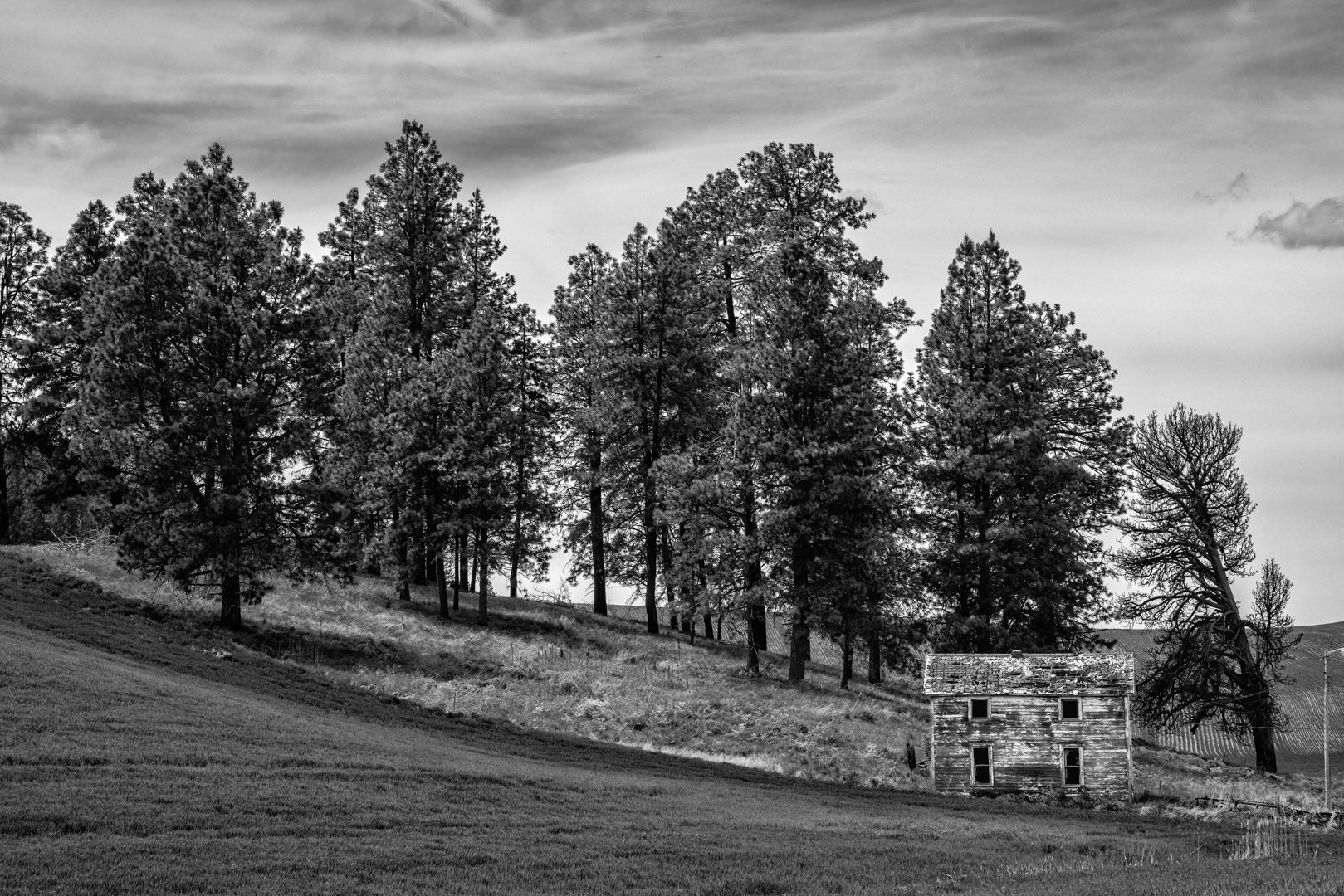 Home Alone - The Palouse, WA