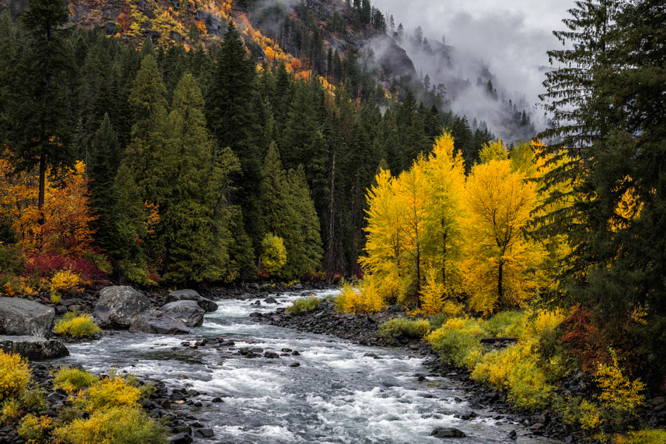 Autumn's Glory- Tumwater Canyon, WA