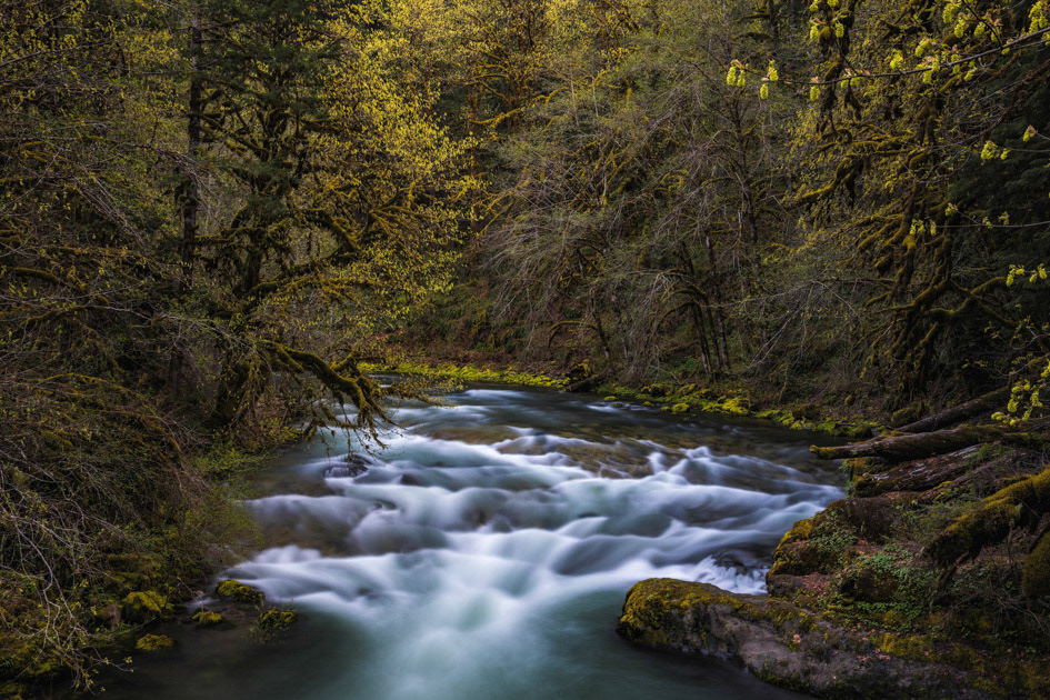 South Santiam River- Oregon