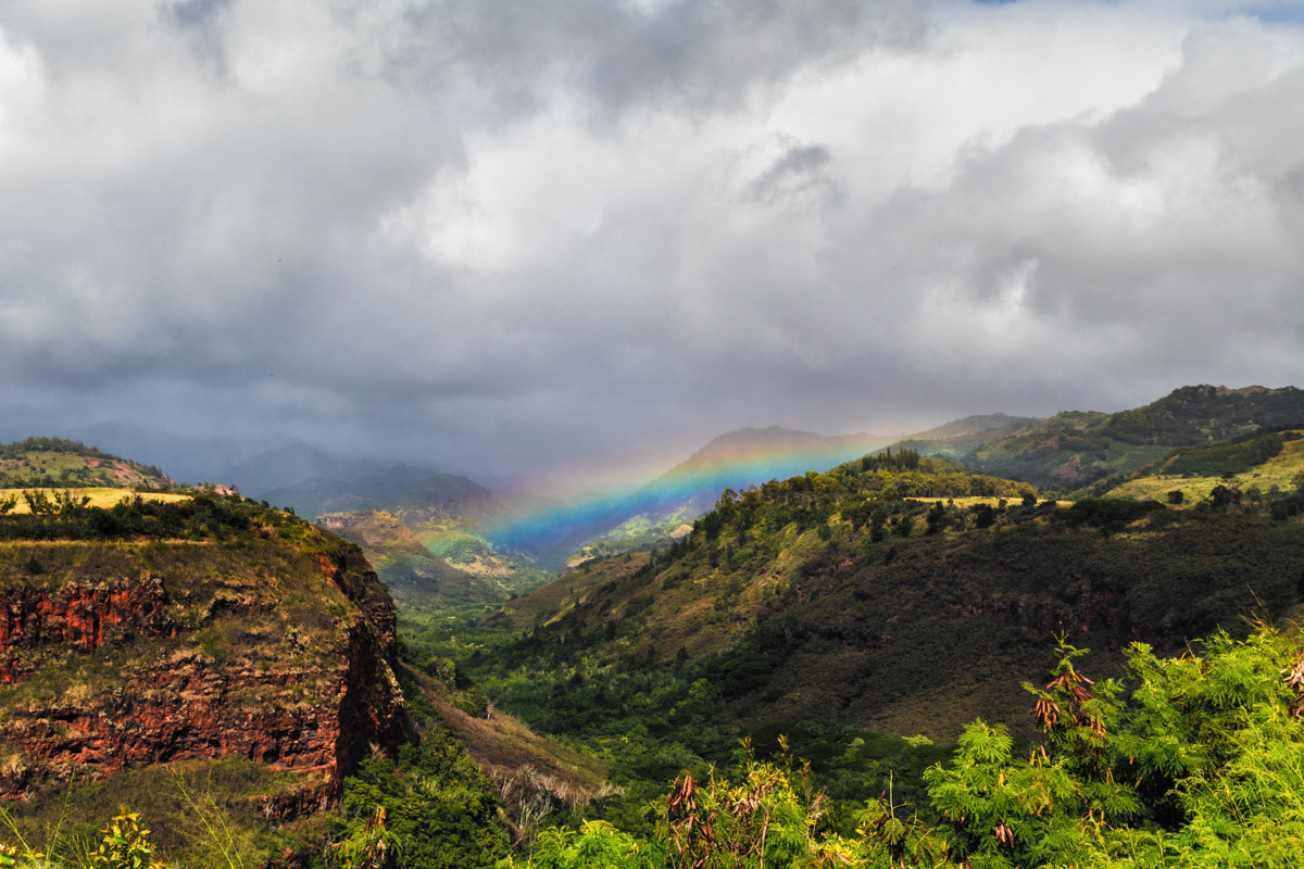 Hawaiian Rainbow
