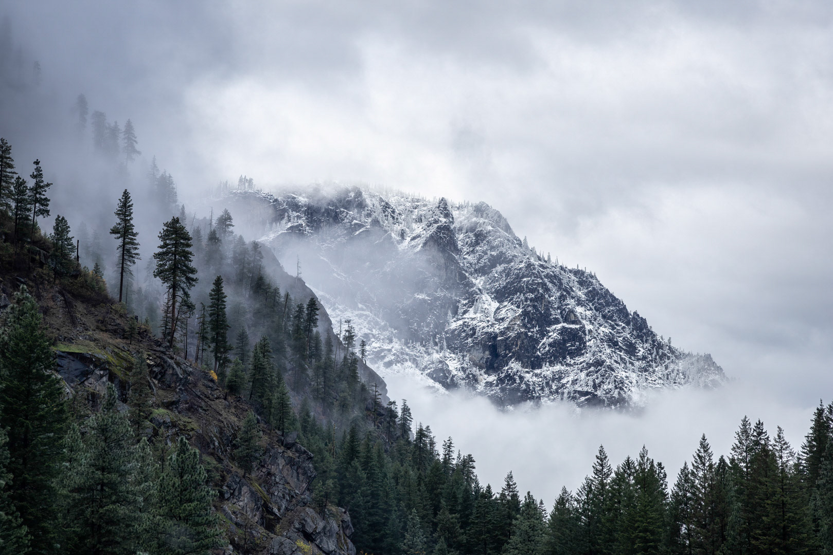 Making an Appearance  - Leavenworth, WA